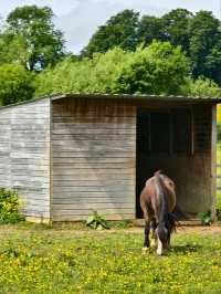 Cotswolds Day Trip