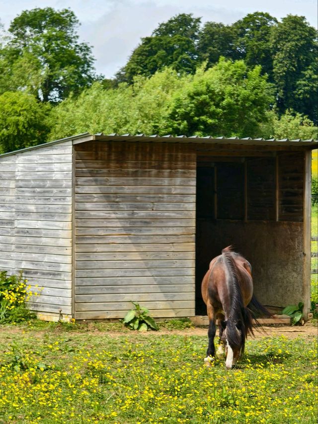 Cotswolds Day Trip