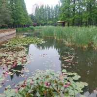 Beautiful parks, Zhongshan park, Botanical garden etc.