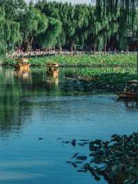 Lotus, Pagodas, and a Whisper of Imperial China — A Day in Beihai Park