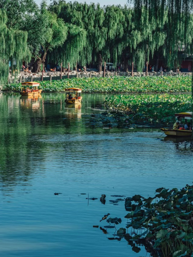 Lotus, Pagodas, and a Whisper of Imperial China — A Day in Beihai Park