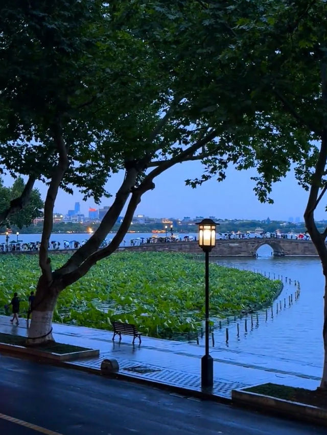 West Lake Wonders: A Day of Serenity in Hangzhou