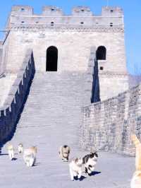 🧱 Stone and Sky – Jinshanling Great Wall, China