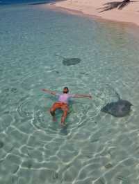 Swimming with Manta Rays in Felidhoo: A Magical Maldives Experience