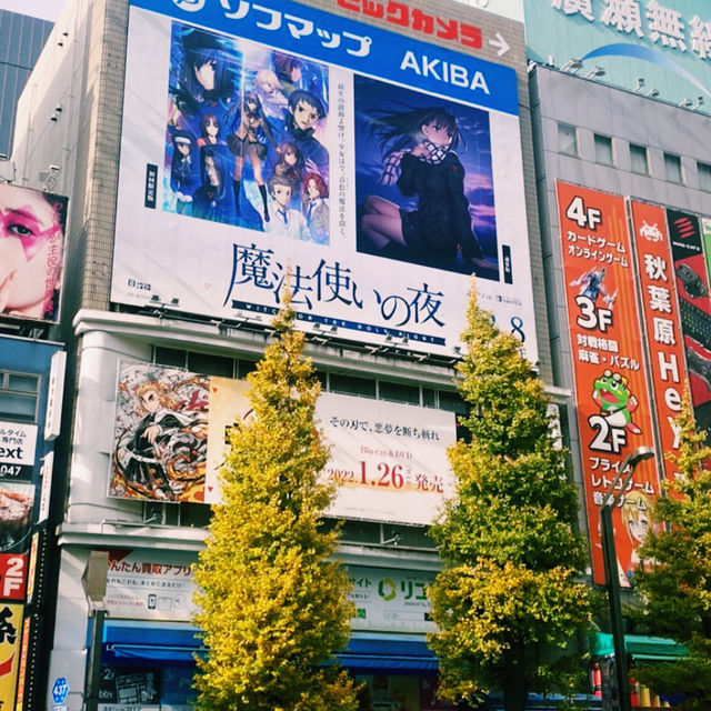 Tokyo: A City of Endless Discovery