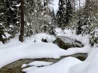 ❄️ Winter Tatras: Snowy Adventure in Slovakia