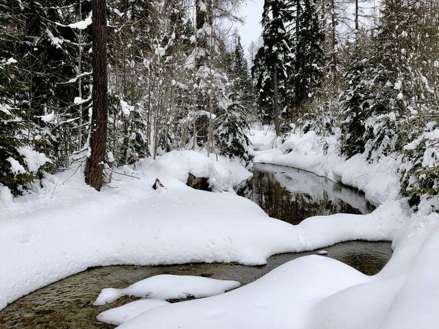❄️ Winter Tatras: Snowy Adventure in Slovakia