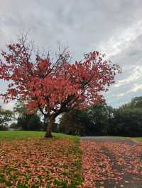 Queen’s Park in Autumn – A Symphony of Colour and Calm