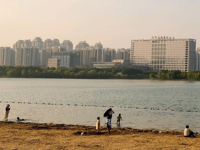 Swan Lake, Hefei Beach Edition 🦢🌅