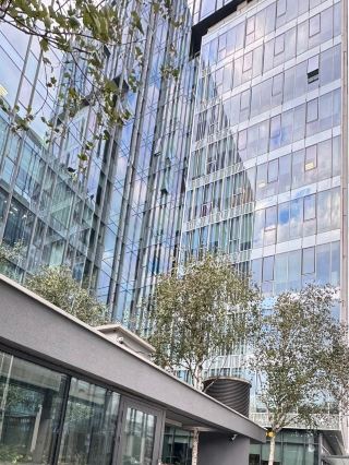 From Industrial Wasteland to Business Powerhouse: The Rise of Wola