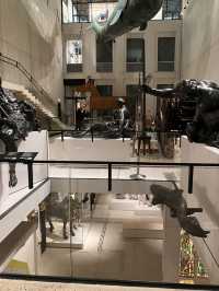 Vienna Museum Fun✨