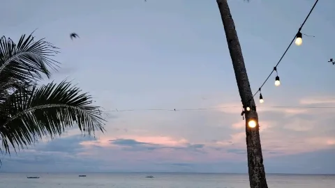 Where in the Philippines is the Sand Like Powder and Cats Love Bananas? — traveler post in Anda