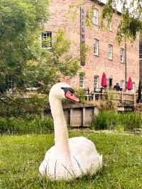 DISCOVERING CAMBRIDGE : From Historic Spires to Spicy Bites.