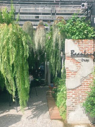 帕佛塔巴特一家超酷的休閒花園式咖啡館！ 🌳
