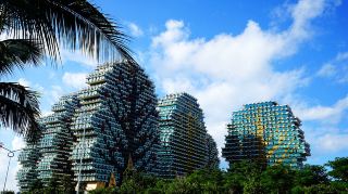 Escaping the tourist crowds of Ocean Flower Island and Zhonghe Ancient Town, traveling along the west coast country road, the Xinying South Coast quietly unfolds, nestled against the inner bay. Old coral stone houses line the shore, casuarina.