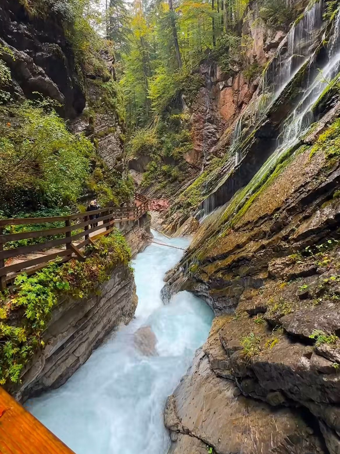 Germany’s Fairytale Lake Hidden in the Alps 🍂🏔️