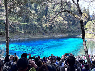 Bergabunglah dengan Trip.com untuk pengalaman tur berpemandu yang mendalam dan nyaman ke Jiuzhaigou dan Panda Base.