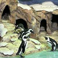 HARBIN POLAR MUSEUM
