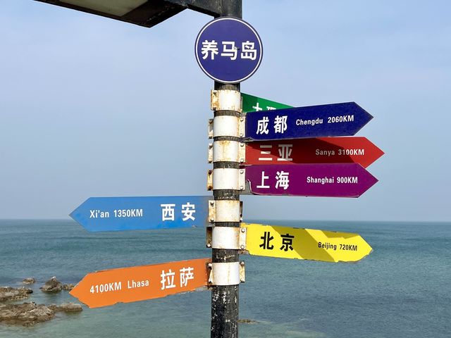 바닷가 카페의 정석을 보여주는 곳, 해도일기(海岛日记) 바닷가 카페의 정석을 보여주는 곳, 해도일기(海岛日记)