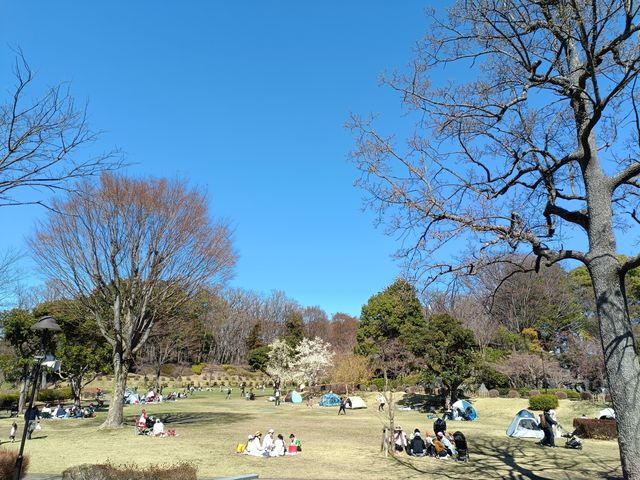 Maruyama Park