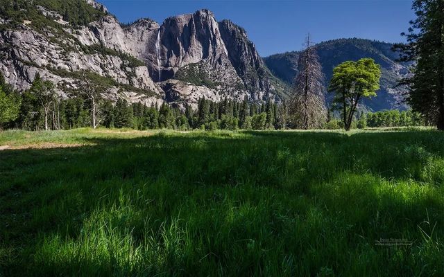 Yosemite Valley