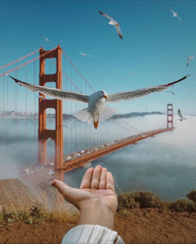 10 Golden Gate Bridge Vistas: A Captivating Odyssey