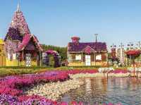 A Floral Oasis of Wonders! 🇦🇪