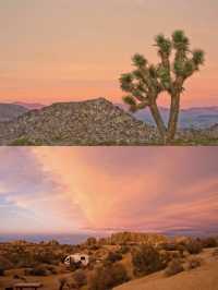 2-Day Joshua Tree Adventure Guide🌵🌅🚶‍♀️