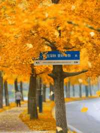 在成都快來超出片公園