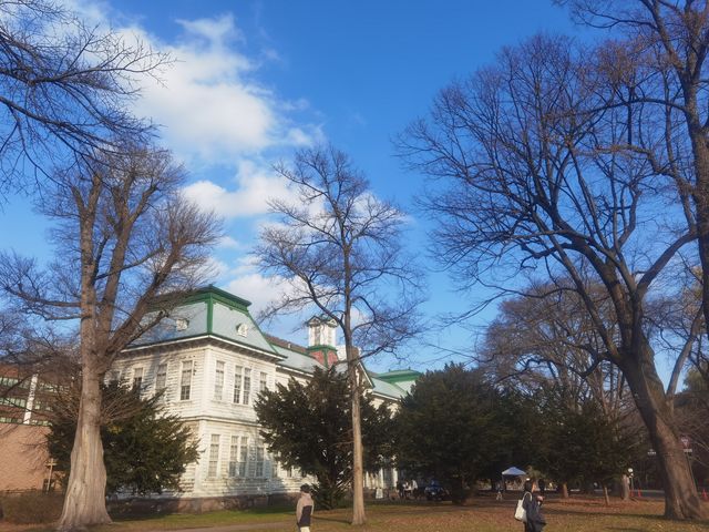 北海道大學校園—關不住的滿園秋色