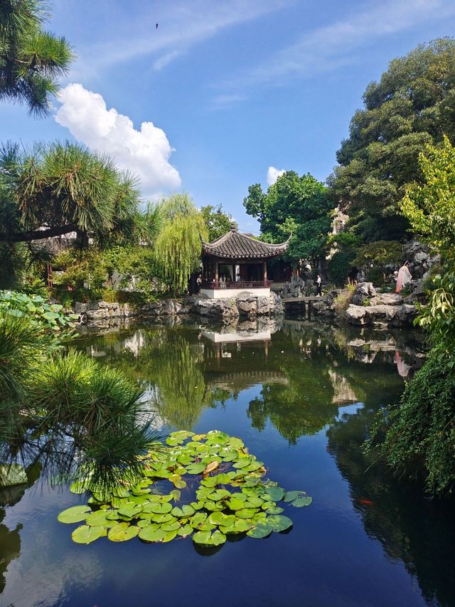 蘇州藝圃｜最小眾精緻的古典園林