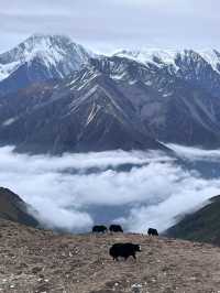 D1:從成都出發，經康定到甲根壩；沿途一路都是風景；