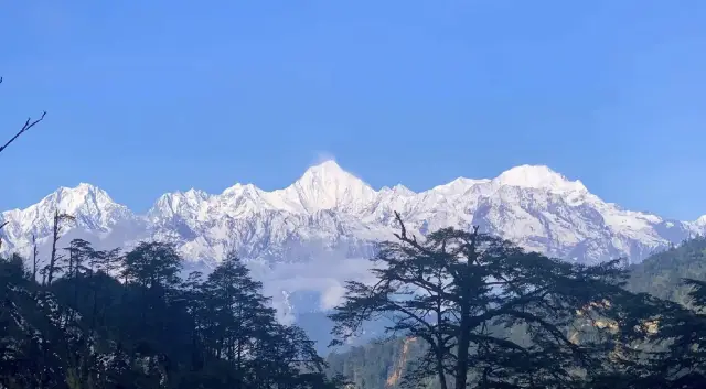 Sichuan Ya'an | The hometown of giant pandas