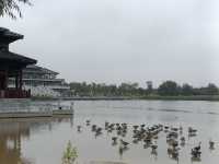 有句話說：綠水青山就是金山銀山 想必說的就是漢梁公園叭