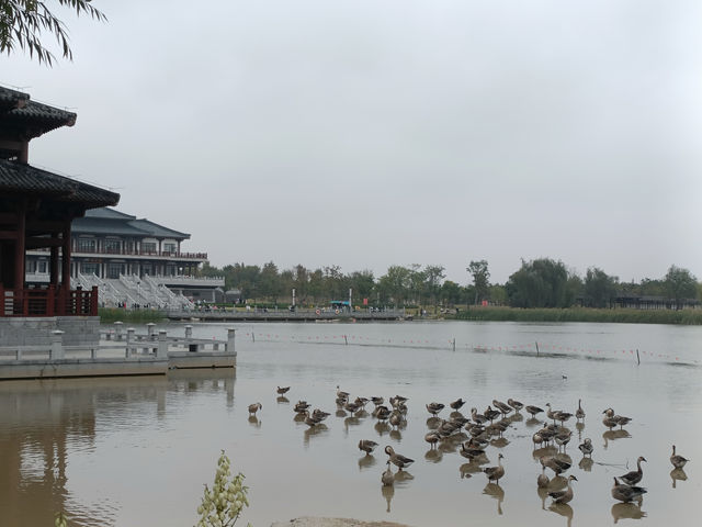 有句話說：綠水青山就是金山銀山 想必說的就是漢梁公園叭