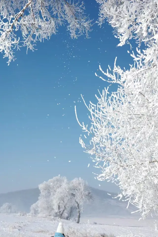 來松花湖滑雪場真是太棒了！這裡的雪都是甜的！