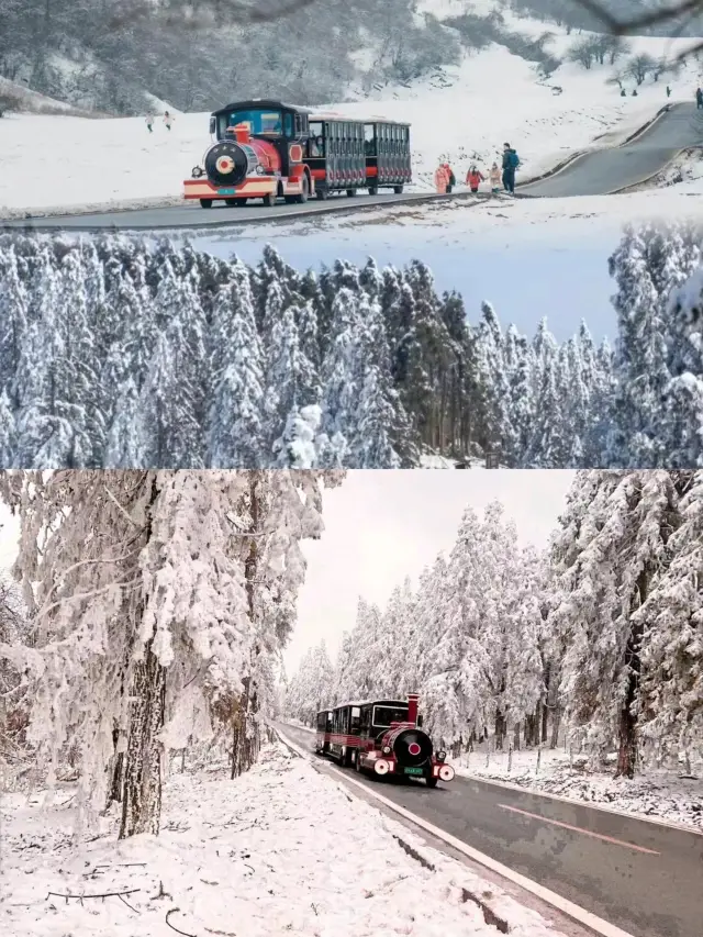 冬の一緒に雪を見に行きましょう！雪の後の仙女山はとても美しいです