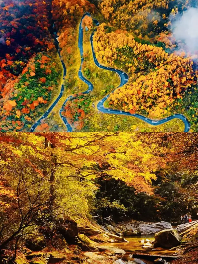 Autumn is strong, go to Guangwu Mountain at the most beautiful season
