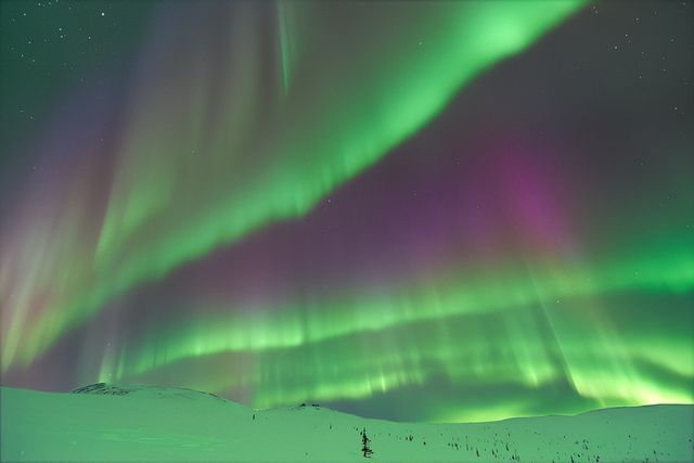 阿拉斯加北極光季-費爾班克斯