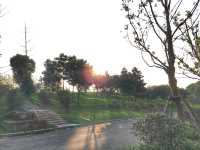 城市秋日騎行線路—紫東創意園