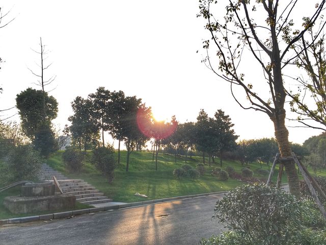 城市秋日騎行線路—紫東創意園