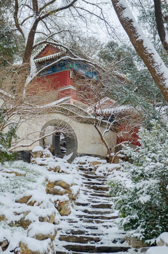 北海公園雪中遊