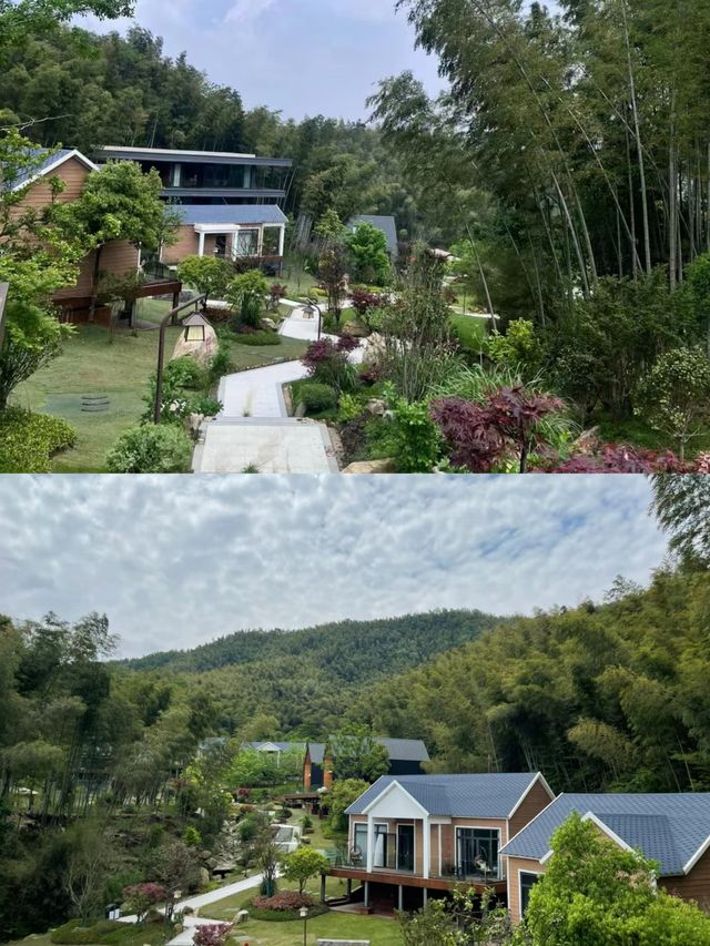 帶著崽來了灣裡的林泉漫居擁抱自然