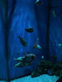 我真的沒想到！大連極地這麼好拍！！！