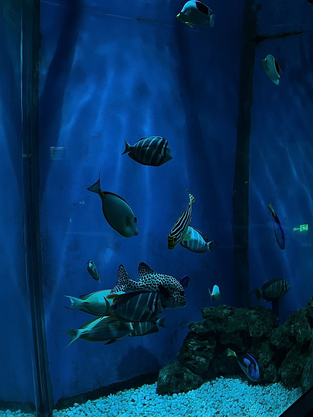 我真的沒想到！大連極地這麼好拍！！！