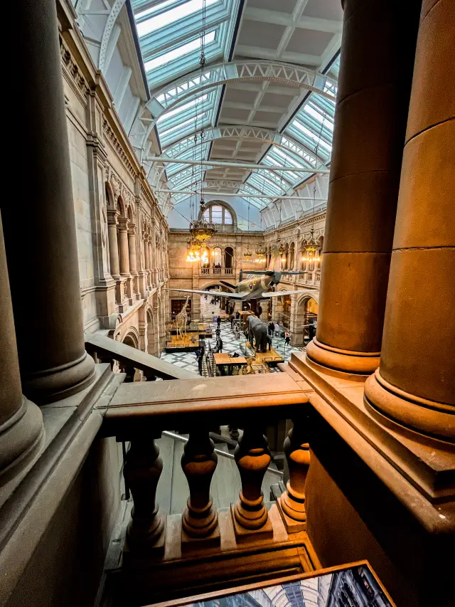 Kelvingrove Art Museum | A must-visit museum in Glasgow