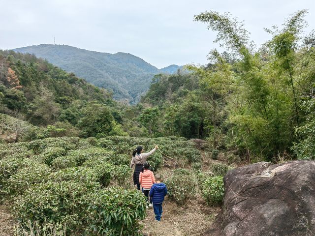 新豐江之源，韶關雲髻山，珠三角最高峰