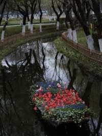 在寧波唯一我想逛無數次的公園