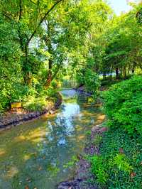 馬橋農民造公園，美麗韓香水博園