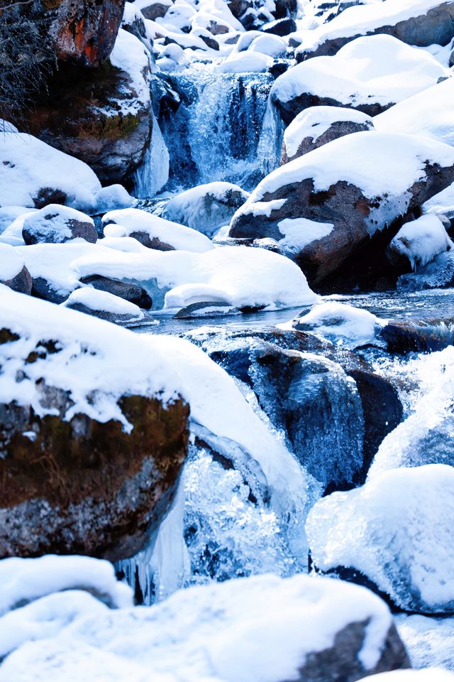 川西厄爾納溝‖南方小土豆的冰雪童話世界